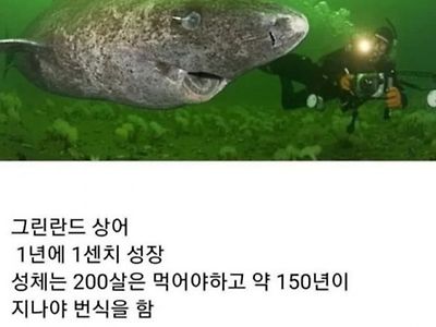 150살부터 ㅅ스가 가능한 동물