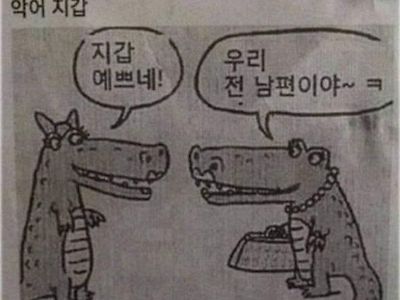 악어 지갑