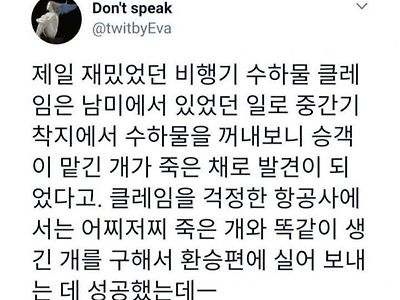 항공기 수화물 레전드