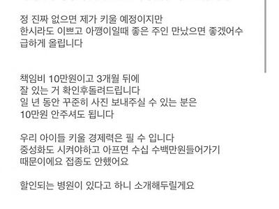 제가 어렵게 구출한 아이들입니다 책임비 10만원이고 3개월 뒤에 잘 있는 거 확인후돌려드립니다 우리 아이들 …