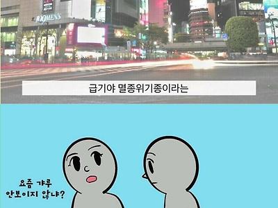 한국때문에 일본에서 사라져 가는 고유 문화