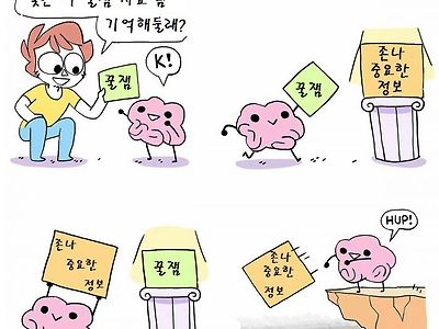 당신의 뇌는 이렇게 일합니다