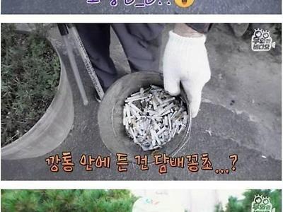 담배꽁초를 모으는 수집가