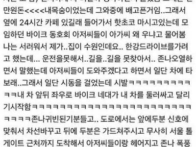 호기롭게 새벽 드라이브를 간 초보운전자의 최후