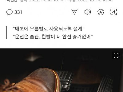 운전면허 뺏어야 하는 기자 양반