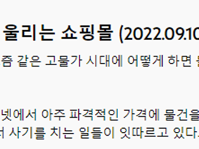 "싸서 샀는데.." 알뜰족 울리는 쇼핑몰