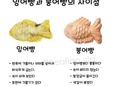잉어빵과 붕어빵의 차이