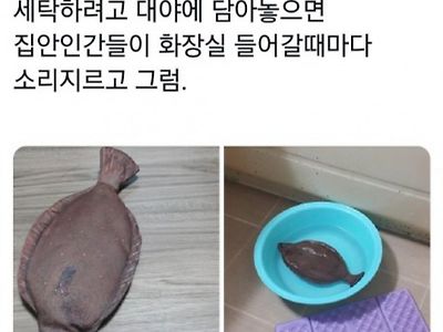 나한테는 광어 필통이 하나있는데