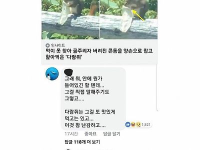 콘돔을 햝아먹는 다람쥐를 본 여자.jpg