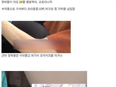 일본 AV 업계의 대중국 전략.jpg