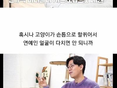 일부 고양이 키우는 사람들이 하는 디클로에 대해 알아보자.jpg