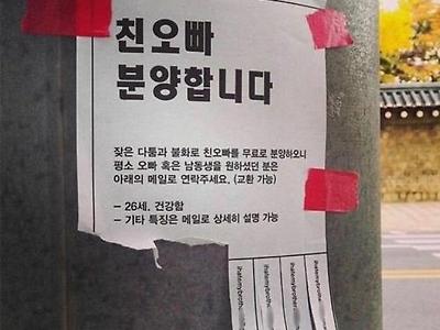 남매싸움의 최후