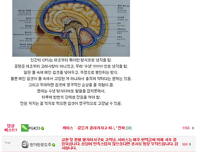 인간의 뇌는 수냉식이다