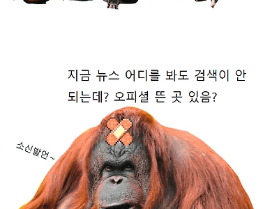 오늘자 https 검열 해제 해프닝 논란 간단 요약...jpg