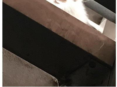 반지하에 사니까 좋은점