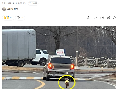 반려견 버리다가 들킨 견주 최신 근황...JPG