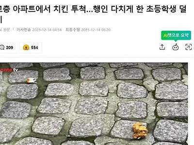 초등학생이 48층에서 치킨 던져 행인 부상