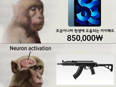 비싼 물건을 구입하려고 할 때 발생하는 뇌반응