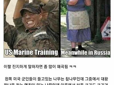 통나무 짤의 진실