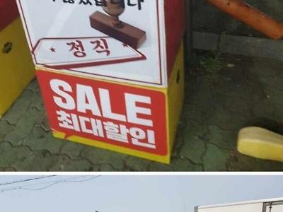 국내 4대 양심 .jpg