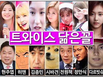 트와이스 팬카페 금지짤.jpg