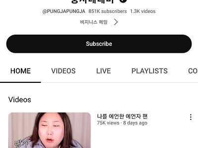 풍자 한달수익