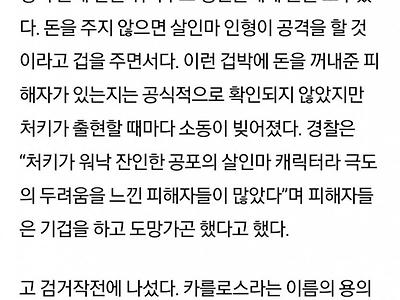 처키 인형을 체포한 여경