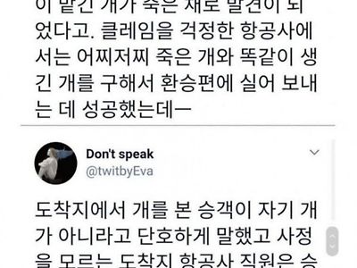 금단의 기술 예토전생을 시전한 항공사