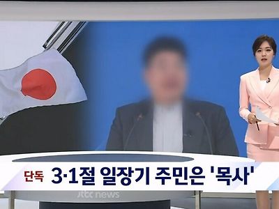 3.1 절 일장기 어그로 직업