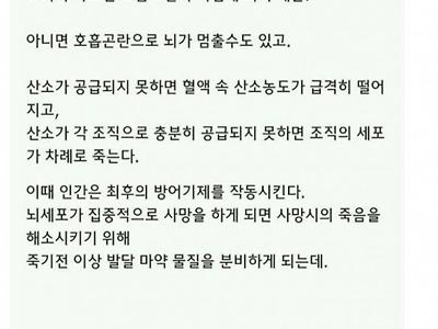 죽기 직전 분비되는 엔돌핀