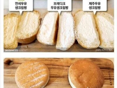 편의점 크림빵 비교