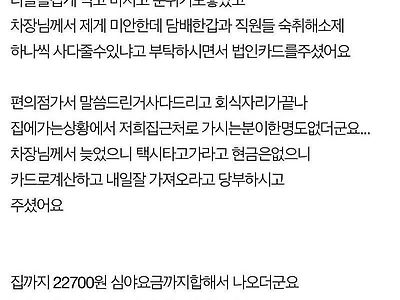 회사돈 횡령한 사회초년생