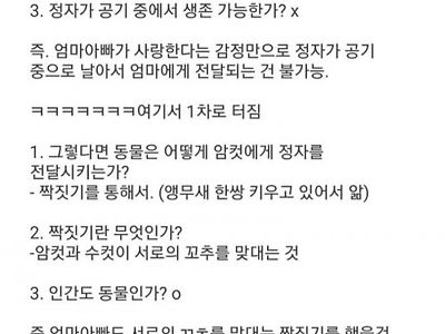 조카가 섹스 영재임
