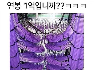 선정리가 연봉 1억