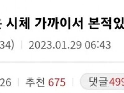 썩은 시체 가까이서 본 적 있다는 디씨인