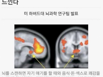 SNS가 흥할 수밖에 없는 이유