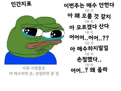 싱글벙글 코인판 근황