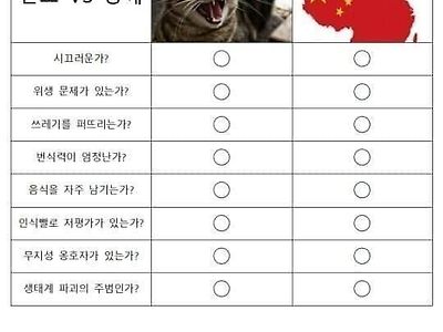 길고양이 = 털바퀴 명칭이 잘못된 이유...JPG