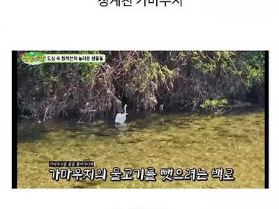 이곳이 바로 친환경 도시