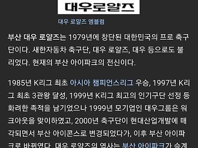 롯데와 다르게 우승많은 부산 명문 스포츠팀