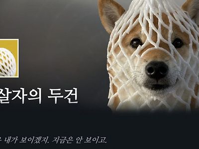 암살자의 두건