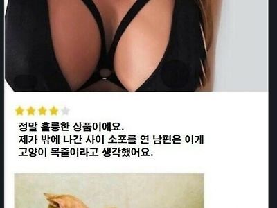 ㅇㅎ) 남편 몰래 야한 속옷 구매한 후기.jpg