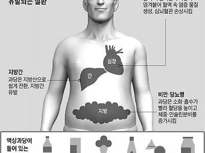 현대인들이 살 찌는 원인 1순위