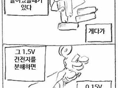 건전지의 실체