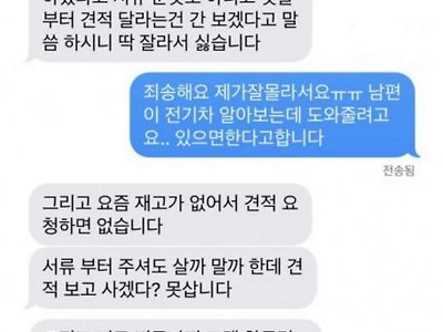 견적 달라는 건 간 보기라는 차팔이