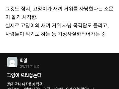 길고양이한테 죽임 당한 새끼 거위