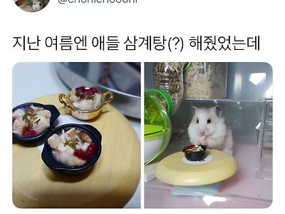 삼계탕을 만들었는데