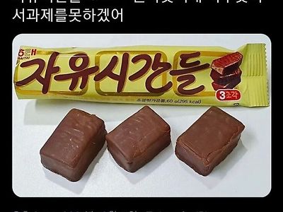 자유시간 근황