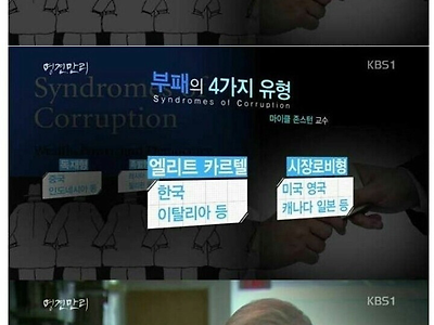 국가 부패의 4가지 유형