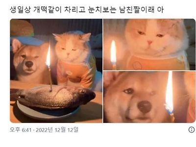 생일상 개떡같이 차리고